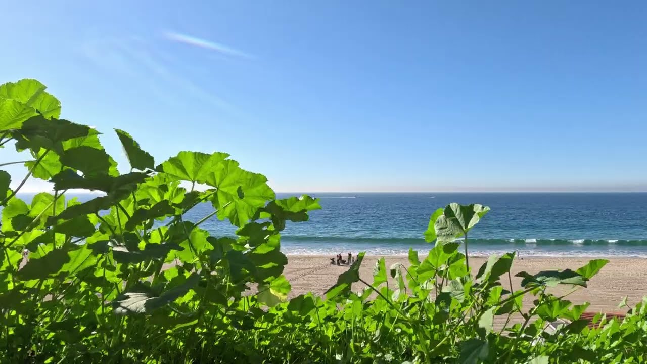 SUPER Relaxing Outdoor Beach Vibes | Good for Relaxing Vibes | Christmas Holidays 