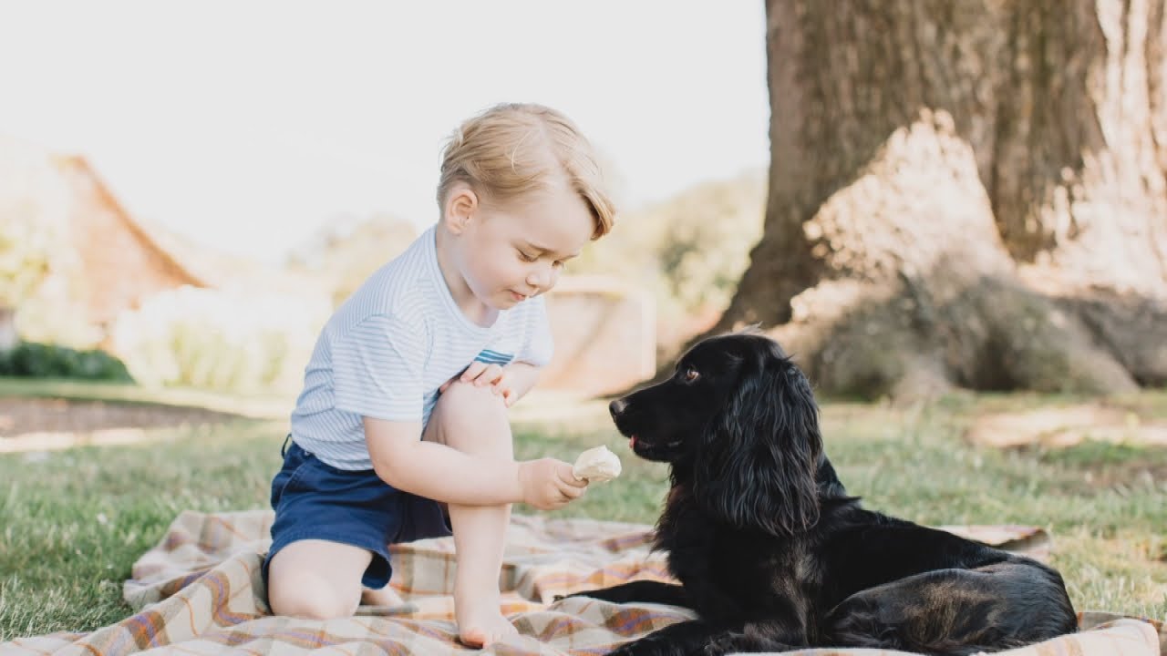 New pictures of Prince George released on his third birthday