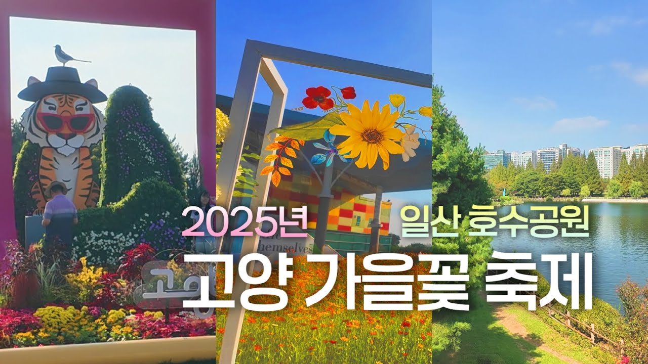 가을꽃과 함께 걷는 일산호수공원