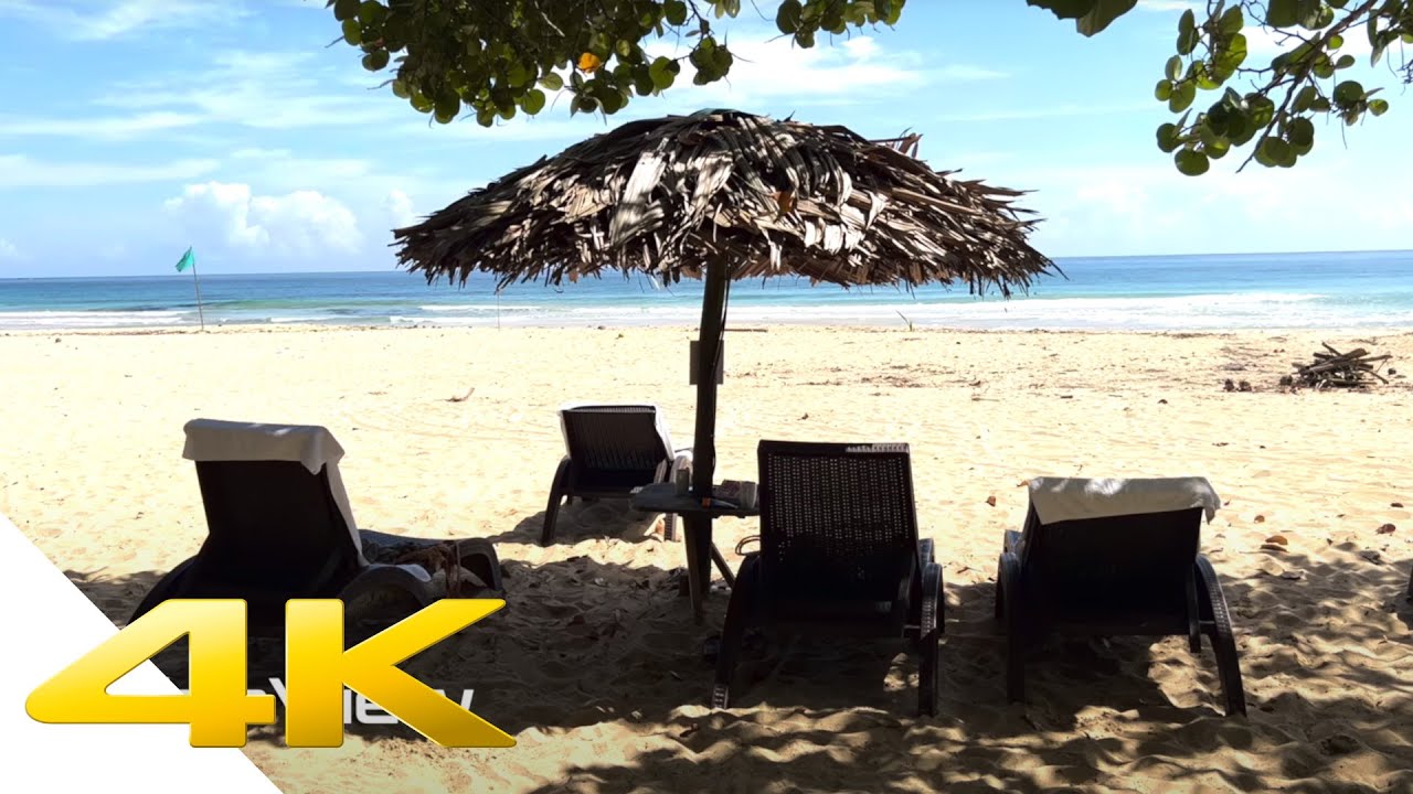 Bocas del Toro Panama 4K - Palmar Beach Lodge & Red Frog Beach