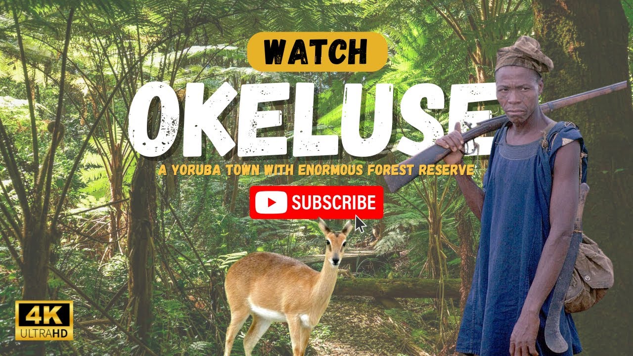 OKELUSE: A Yoruba town with enormous forest reserve