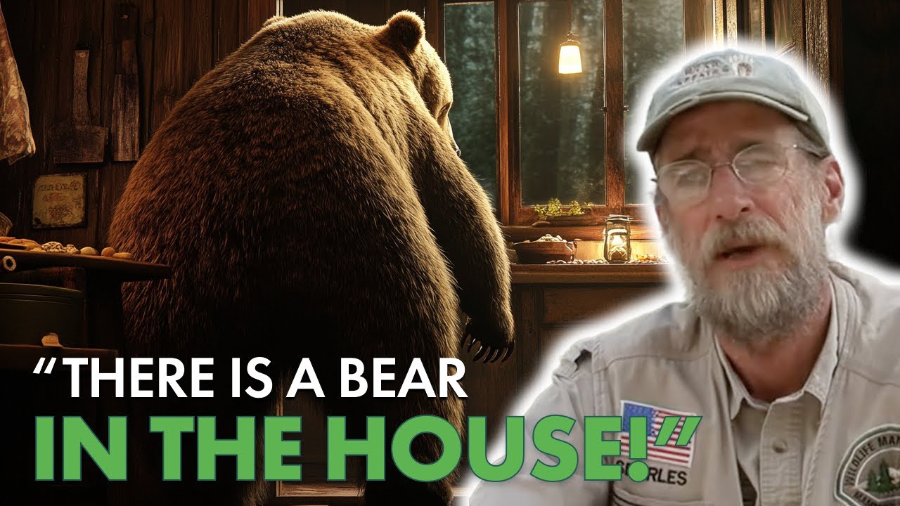 What HAPPENS When a BEAR Breaks Into a HOUSE? 🏠