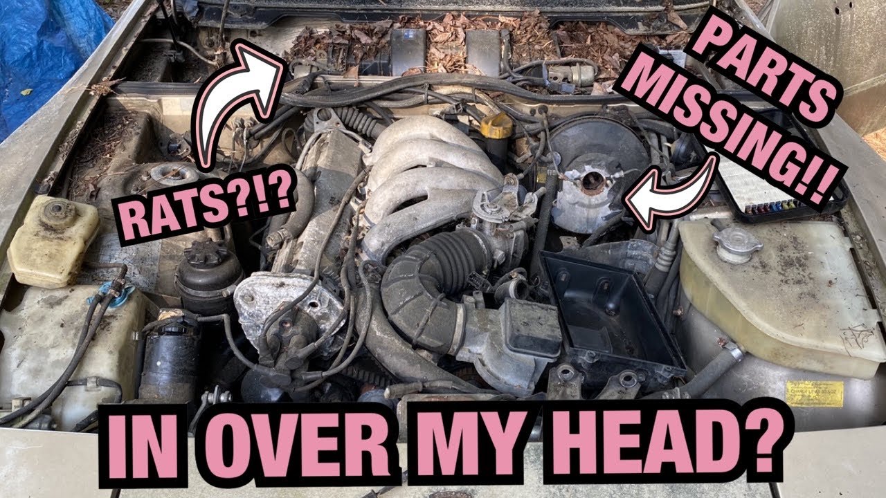 PORSCHE 944 ENGINE BAY OVERVIEW - 1985 PORSCHE 944 BUILD
