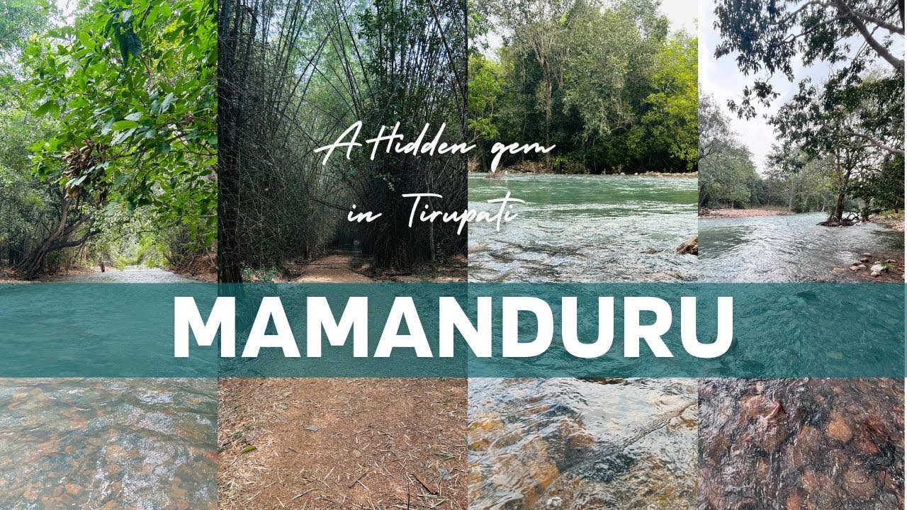 మామండూరు Waterfall | తిరుపతి a beautiful place to experince #tirupati #nature #traveleatrepeat2
