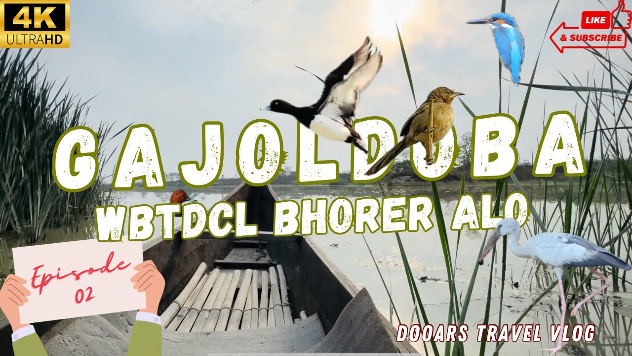 WBTDCL Bhorer Alo Gajoldoba Ep2 | Gajoldoba Birdwatching Paradise |Dooars Tour| Offbeat North Bengal