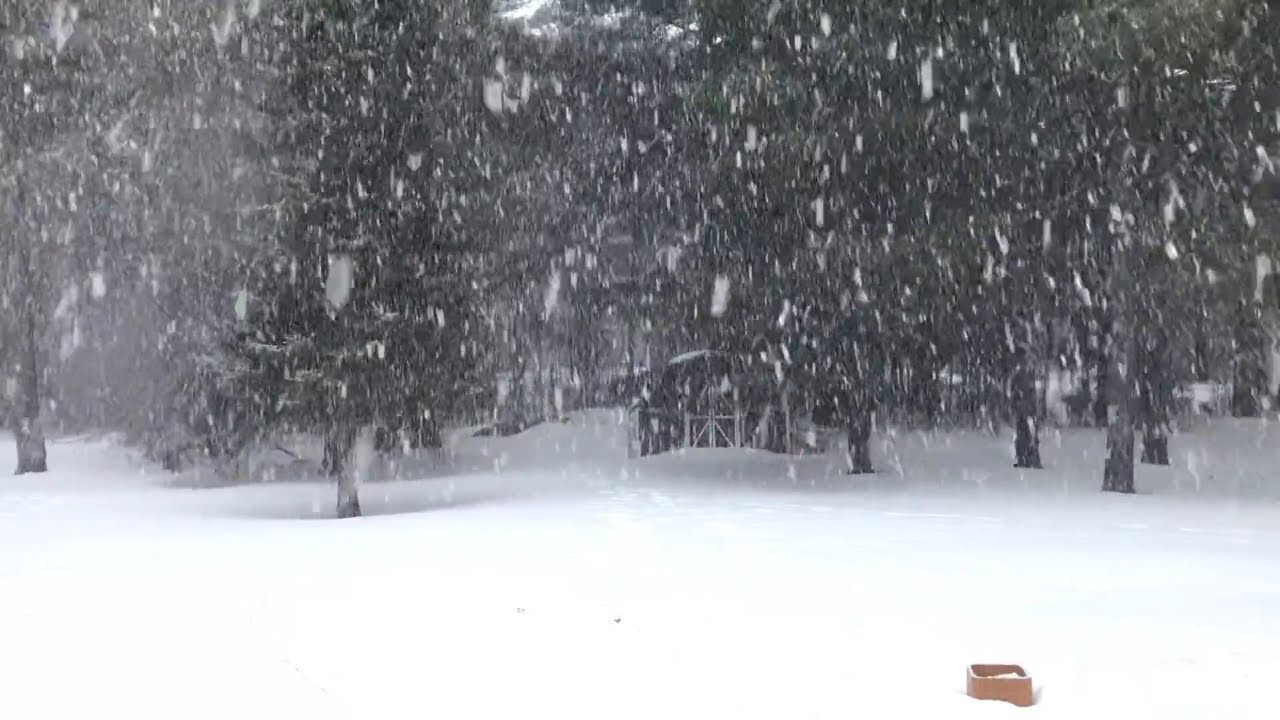 SONIDO DE TORMENTA DE NIEVE PARA DORMIR ❄️🎧💤❄️🎧💤