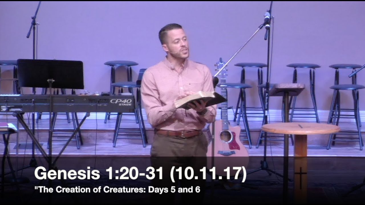 "The Creation of Creatures: Days 5 and 6" - Genesis 