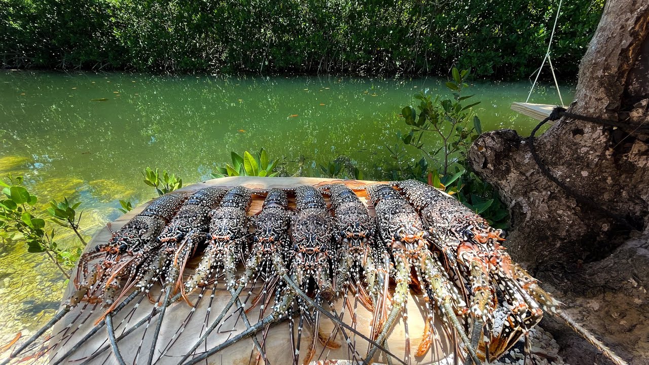 Harvesting A Unique Lobster | Night Diving | CCC
