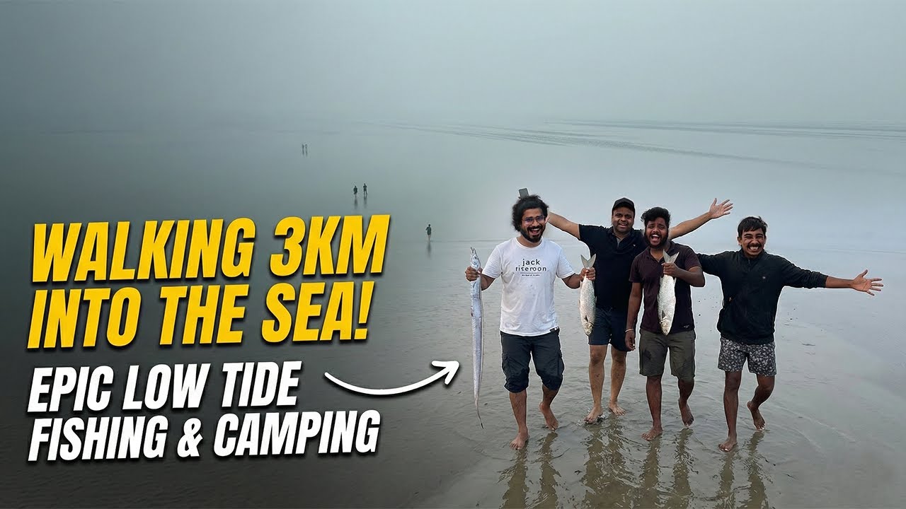 We Walked 3KM Deep Into The Sea To Catch These! (Epic Low Tide)