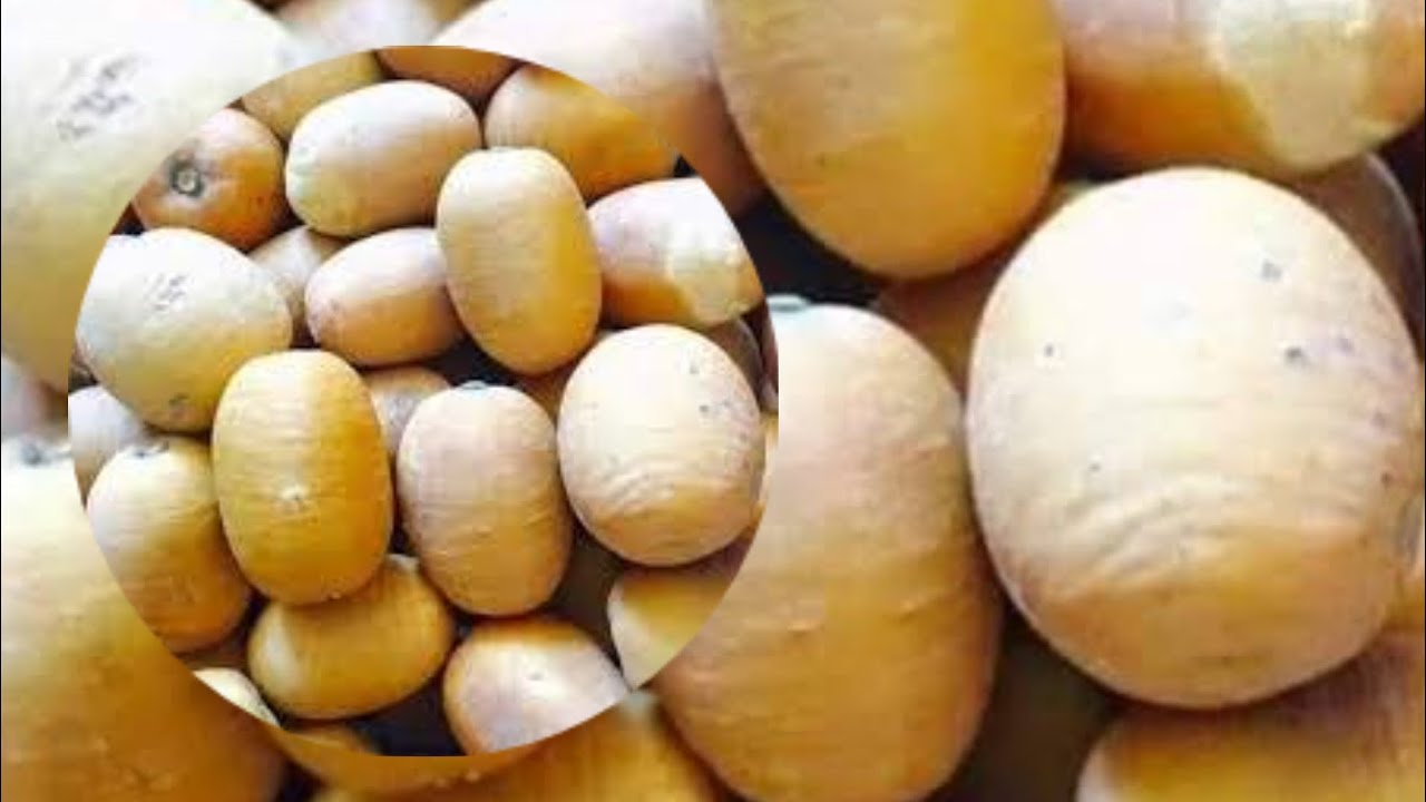 Amfanin Aduwa A jikin Dan Adam kashi na uku
