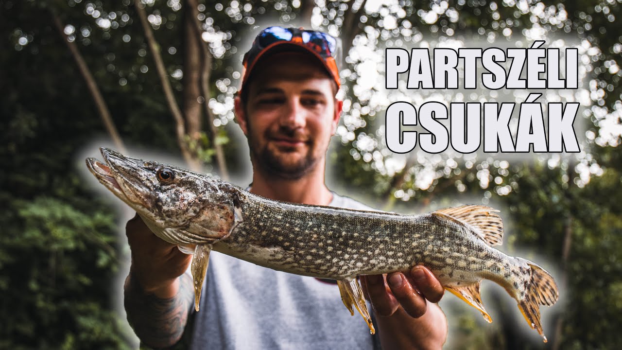 Pergetés a partszéli csukákra