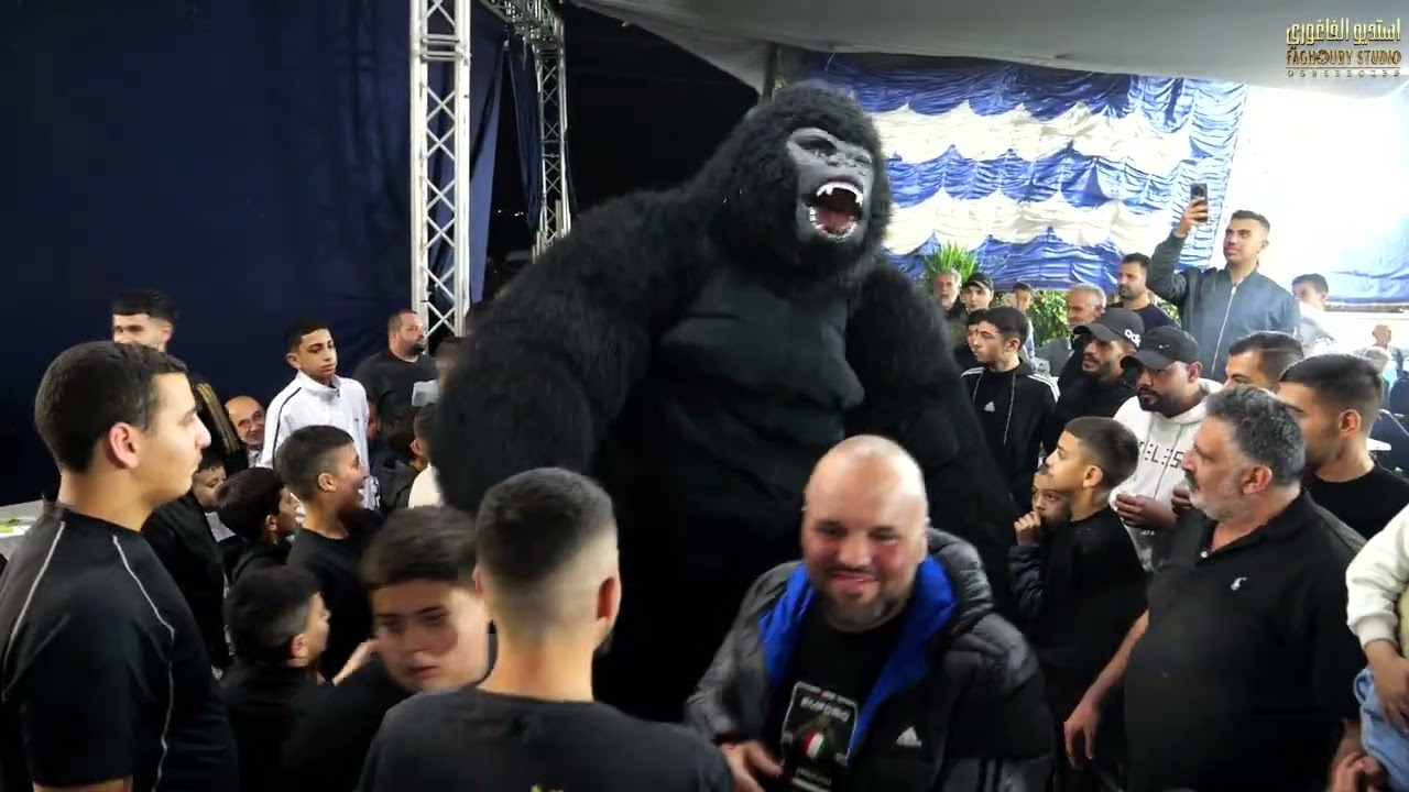دخول الغوريله  مع صقور العبيات  مهرجان محمد الشلودي ستوديو الفاغوري