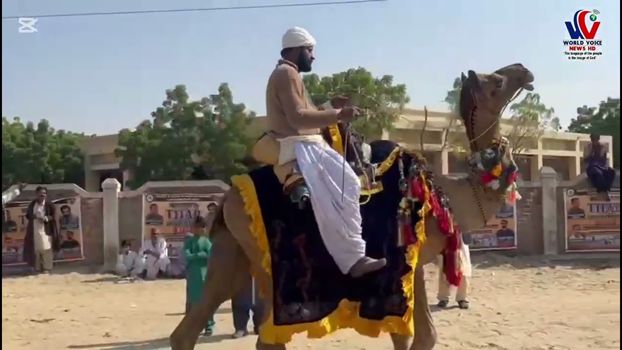 تھر اسپورٹس فیسٹیول کا شاندار آغاز، 7 فروری تک جاری رہے گا۔سندھ حکومت اور محکمہ کھیل کے زیرِ اہتمام 