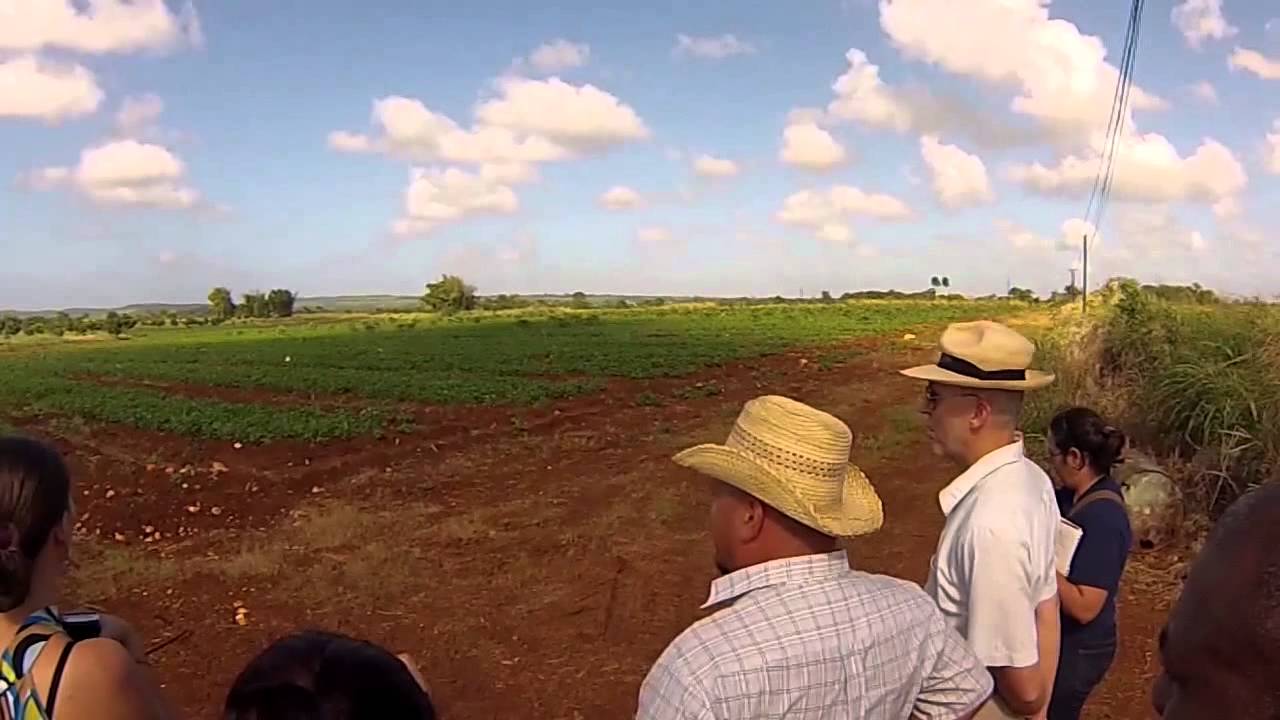 El representante de la FAO en Cuba visita finca del campesino-pintor Rogelio Fundora