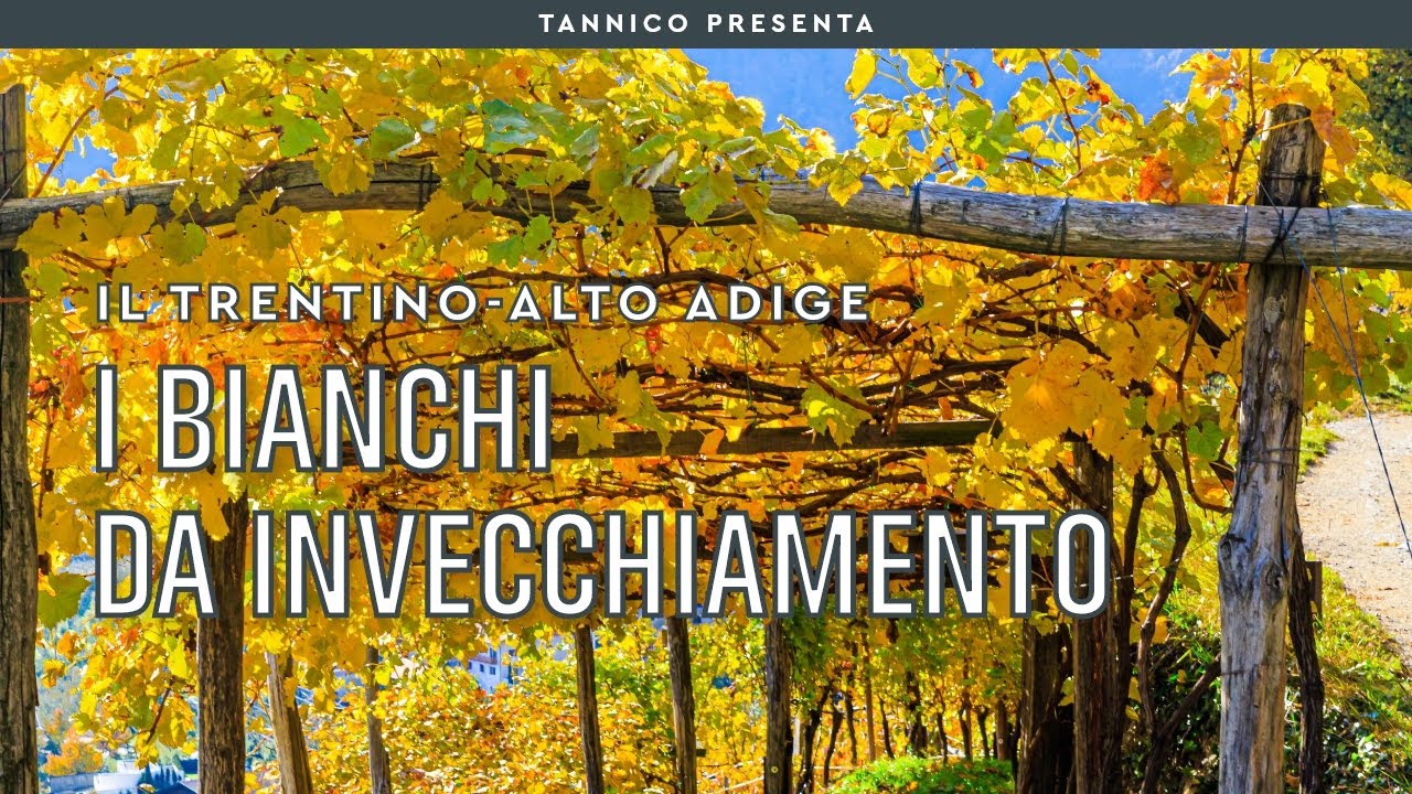 Da Terlano a Walch: i grandi vini bianchi altoatesini da invecchiamento | Tannico Flying School