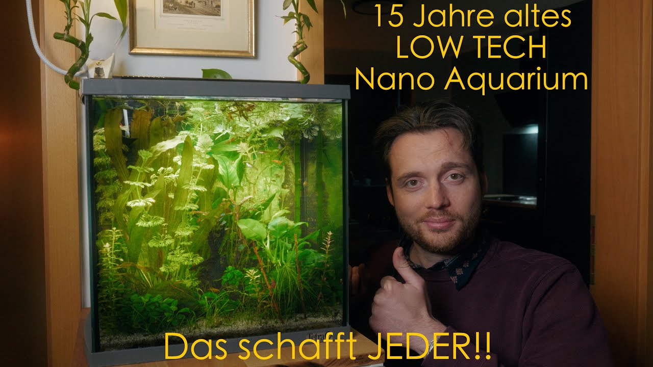 Ein grünes Nano Aquarium OHNE Pflegeaufwand - Tetra AquaArt 30L (Kein Co2 oder Dünger)