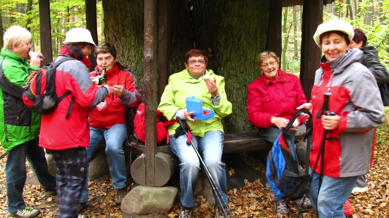 Návraty v čase  2012 - Litice -  Potštejn