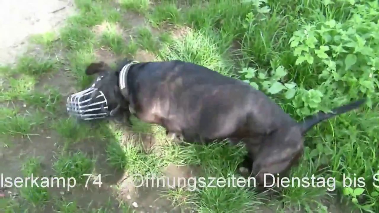 Christel macht den Wesenstest