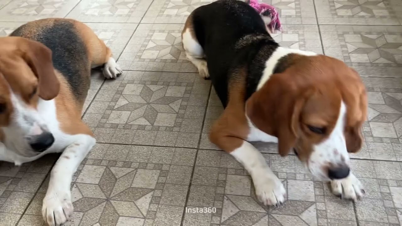พอหิวแล้วทำได้น่ะเนี้ย
