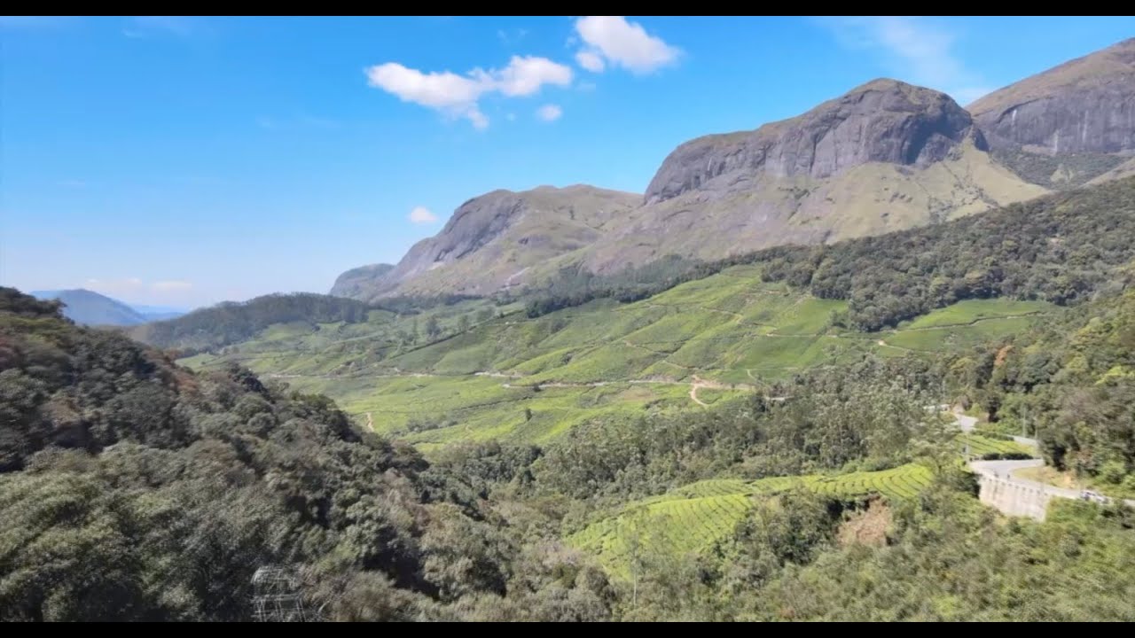 Птичий тур по Южной Индии, часть 2