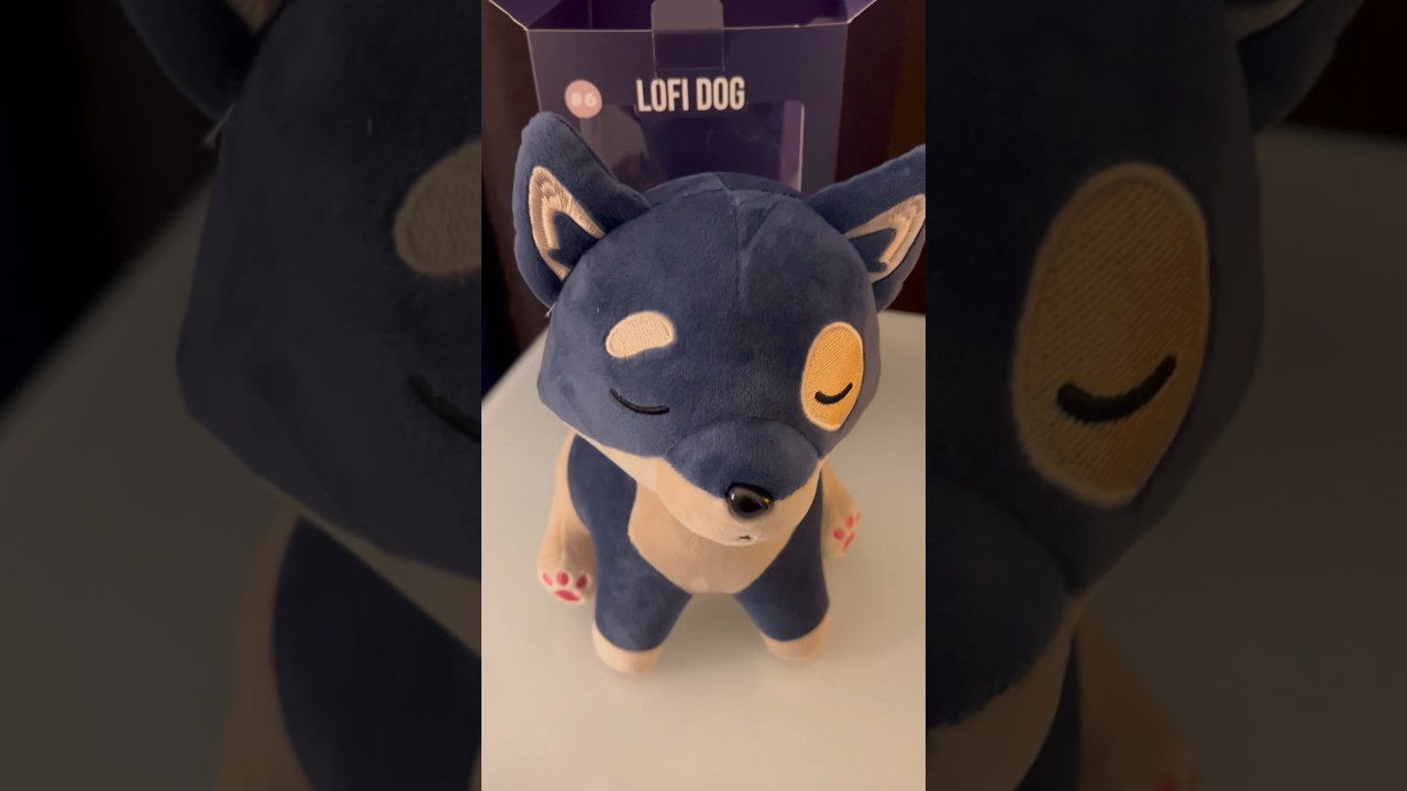 Lofi Dog is here! #lofigirl