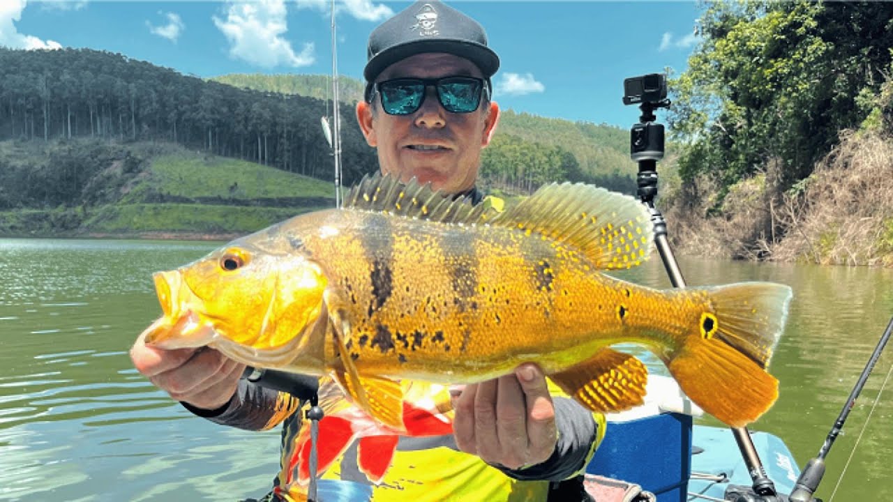 Recorde Pessoal de Tucunaré Amarelo | Represa de Paraibuna