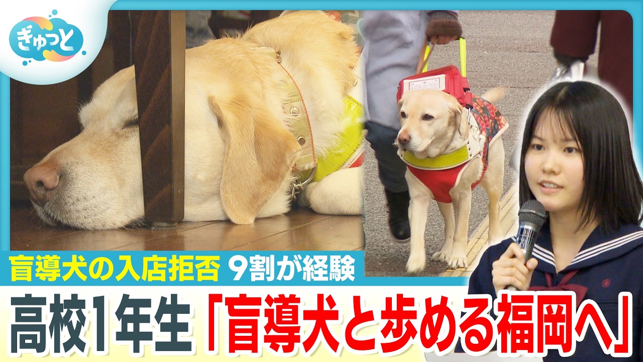 「盲導犬の入店拒否をなくしたい」高校生１年生が社会問題の解決に挑戦【ぎゅっと】２０２６年１月２６日放送