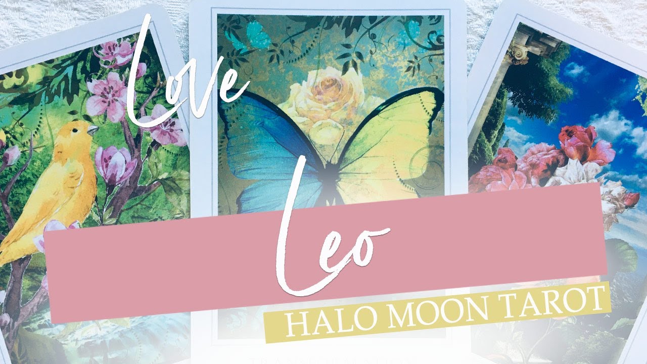 LEO - COMPANIONSHIP FIRST WITH THIS PERSON.