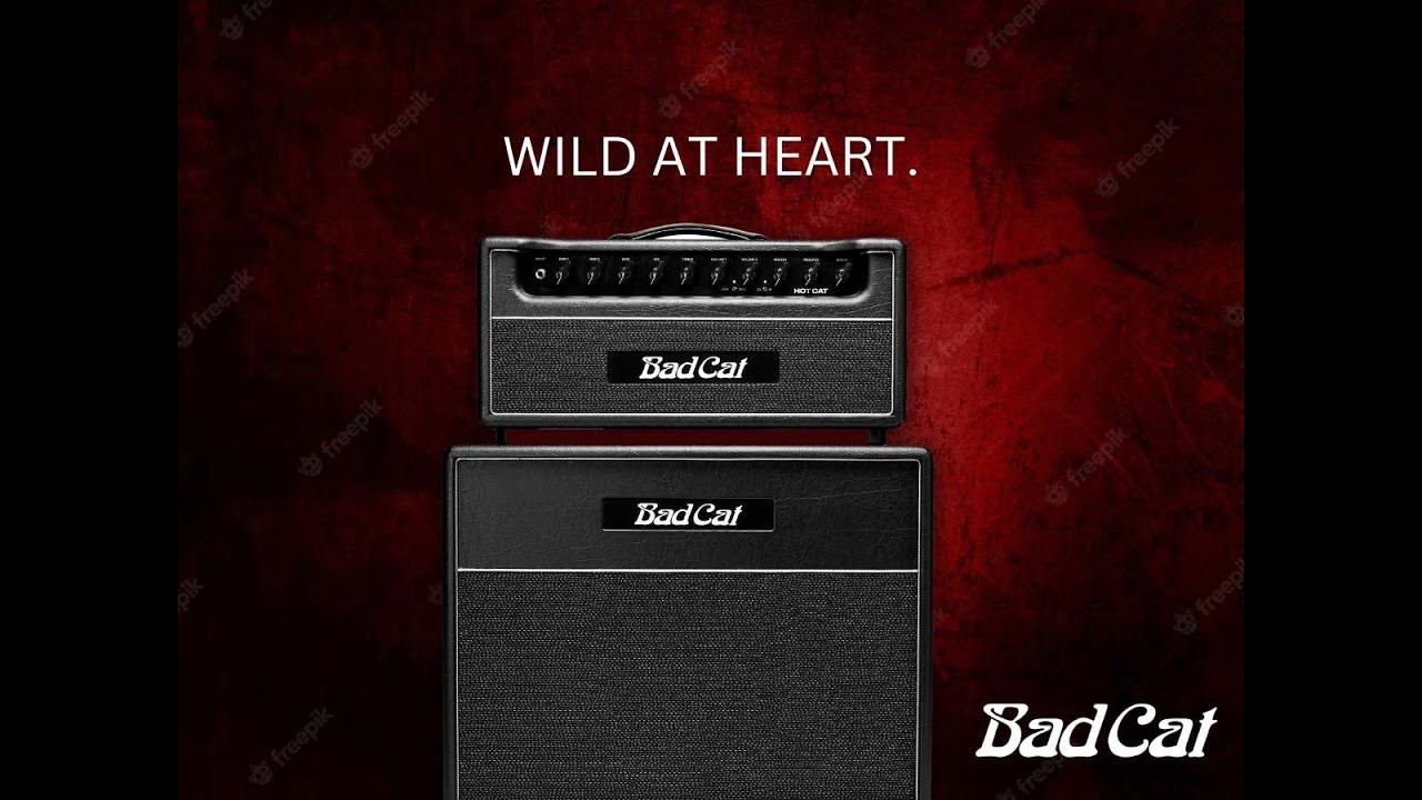 Quick Demo of the NEW Bad Cat Hot Cat - (High Quality Audio)