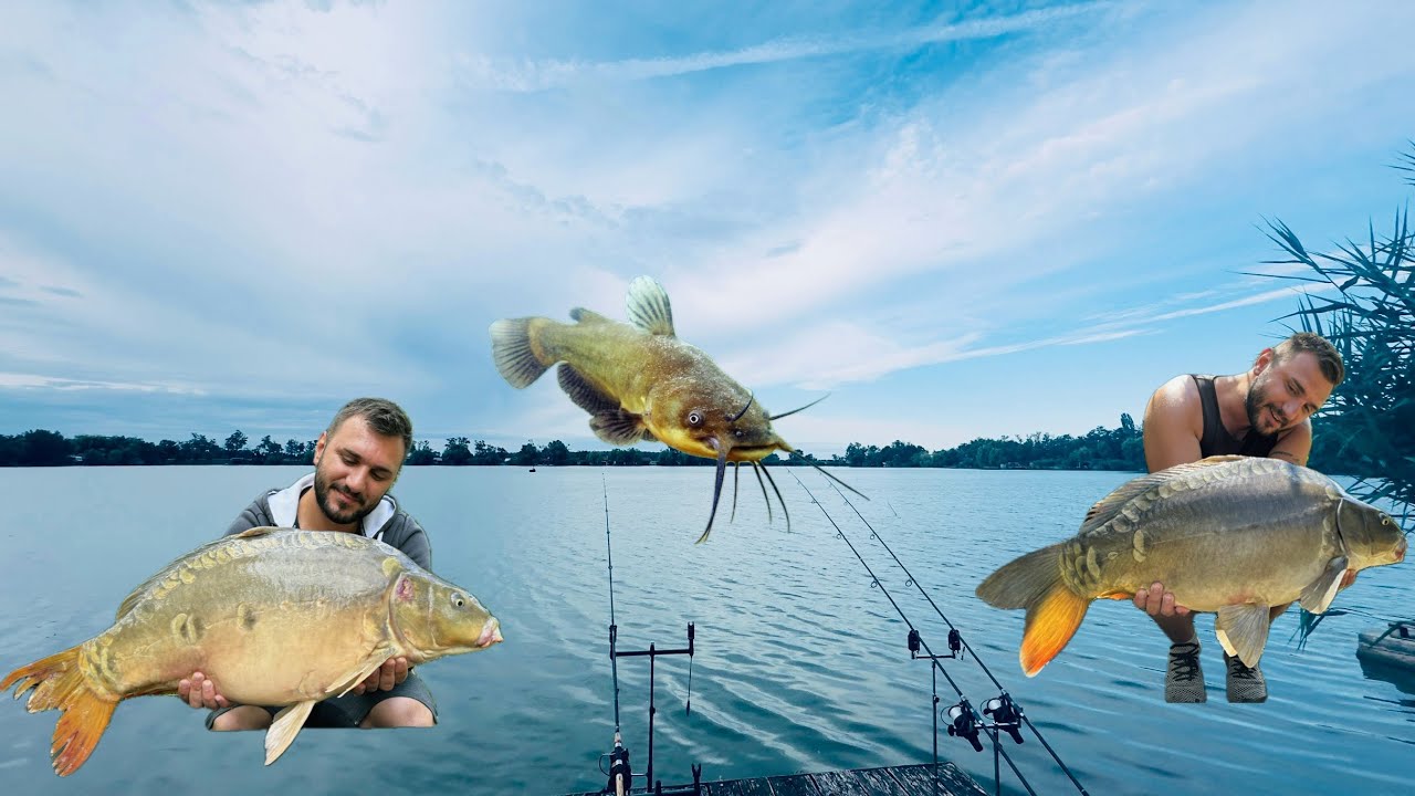 Horgászat Békésen a borosgyányi tavon.