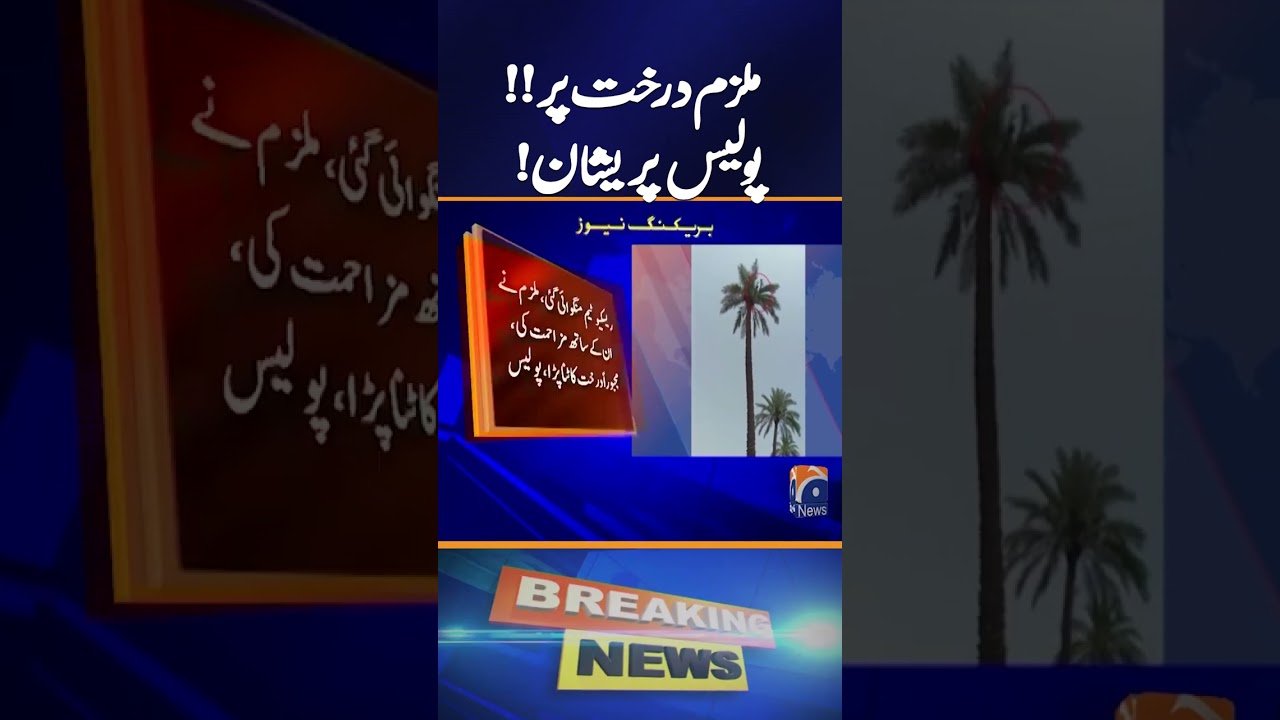 Accused Climbs Palm Tree to Avoid Arrest in DG Khan | Dramatic Police Standoff | Geo News