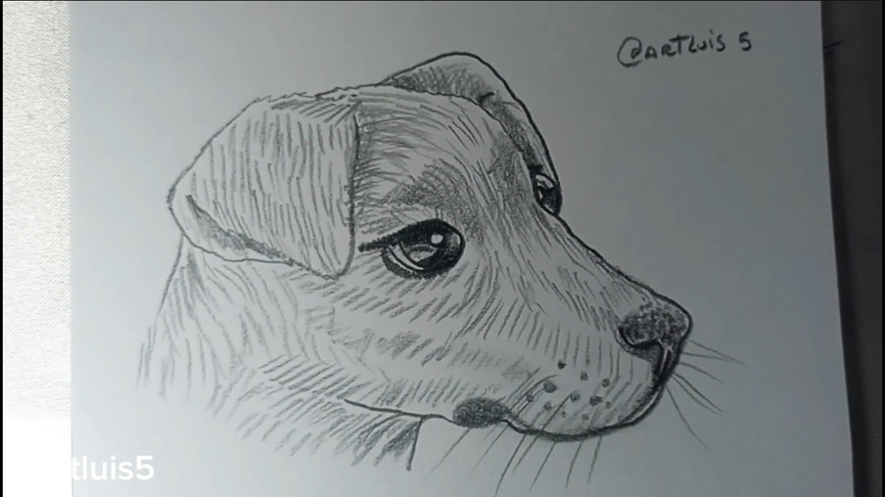 Como desenhar um cachorro