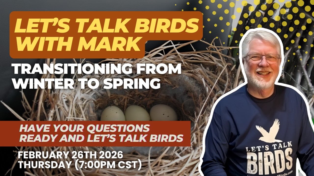 Winter to Spring: How Wild Birds Transition | Live Q&A with Mark McKellar