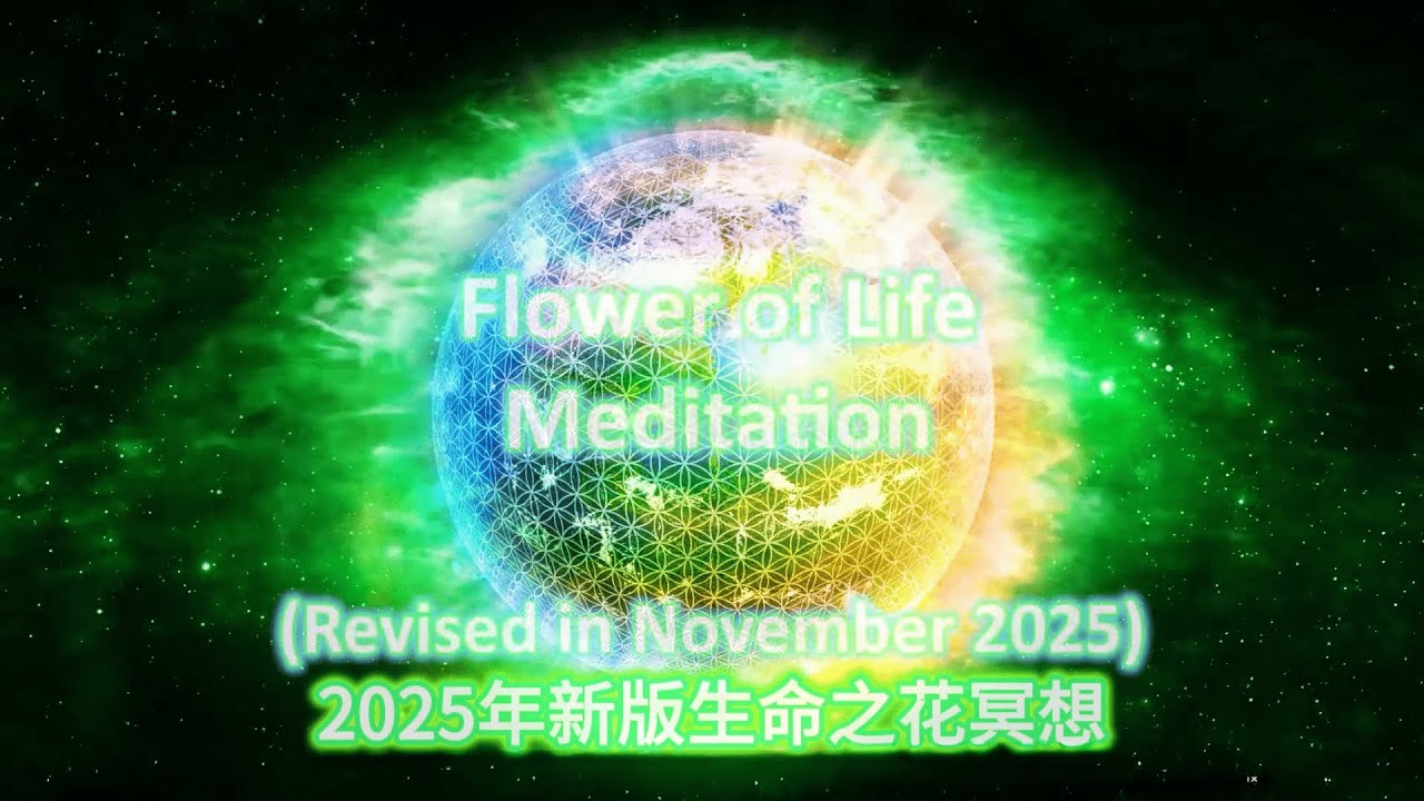 2025 新版生命之花