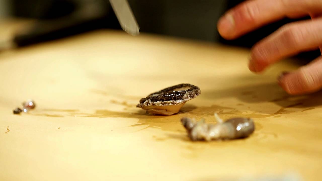 Técnicas de cocina y limpieza del abalón by GMA