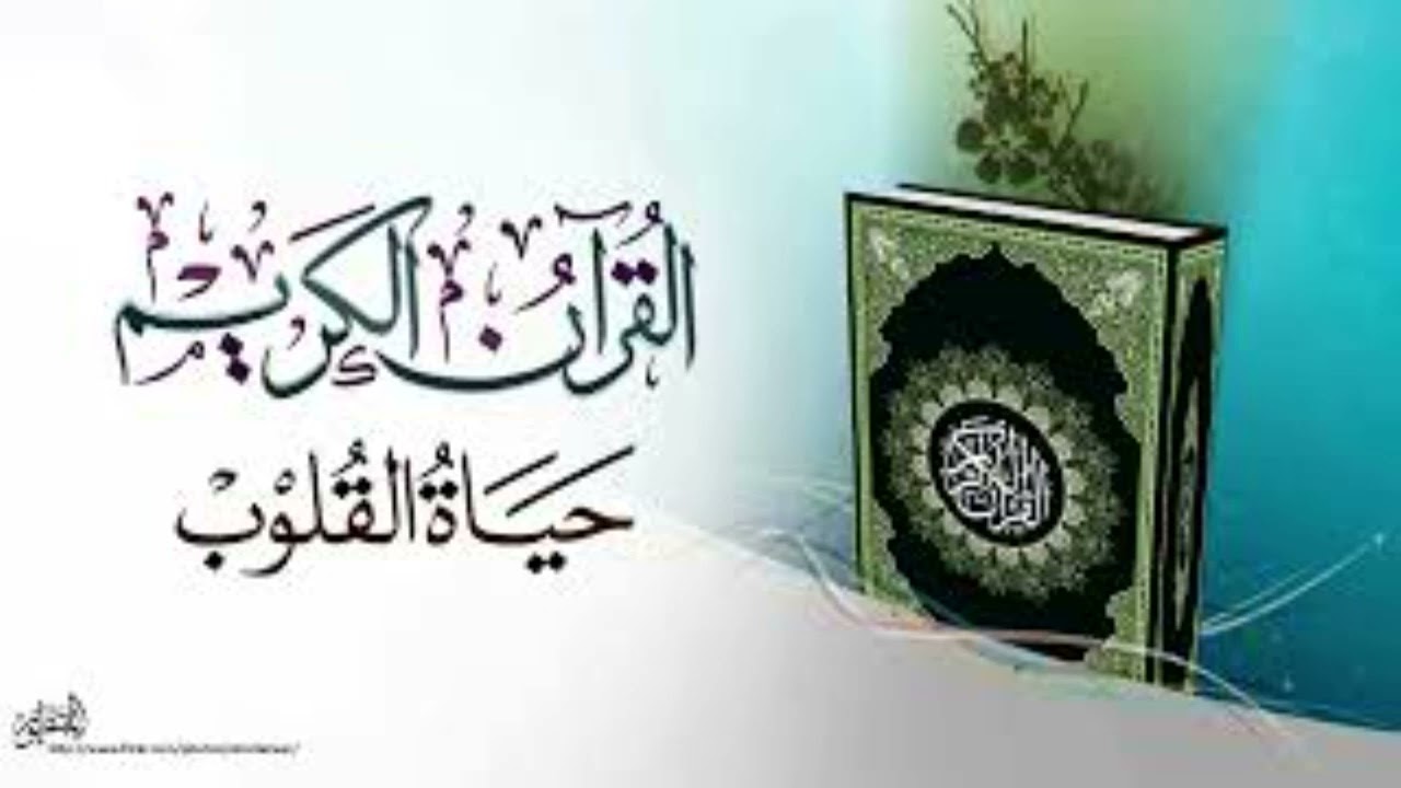 الشيخ العلامة محمد بن على أدم الاثيوبي رحمه الله عمدة التفسير سورة الممتحنة 1  - 11