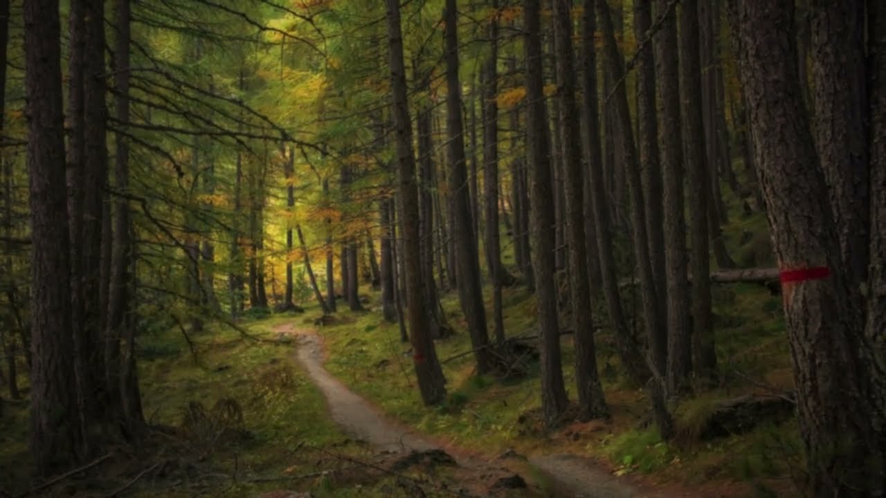Remembering the Way Home | Ambient Piano for Focus & Relaxation