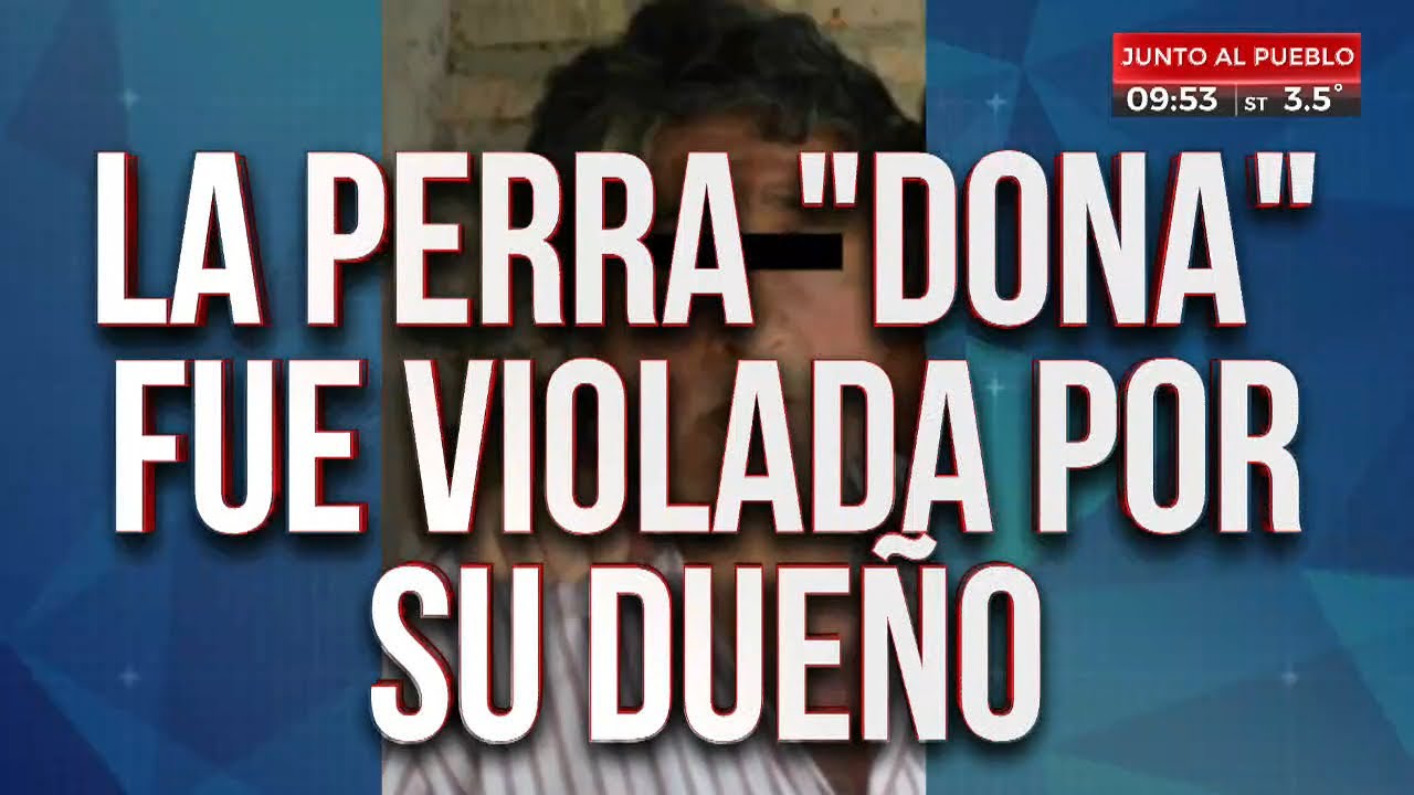 Sin palabras: perra fue violada por su propio dueño