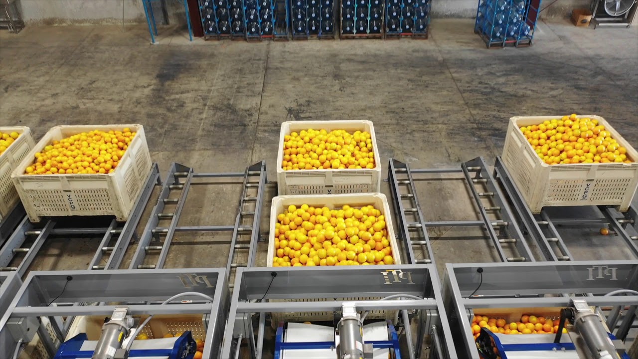 Post Harvest Technologies