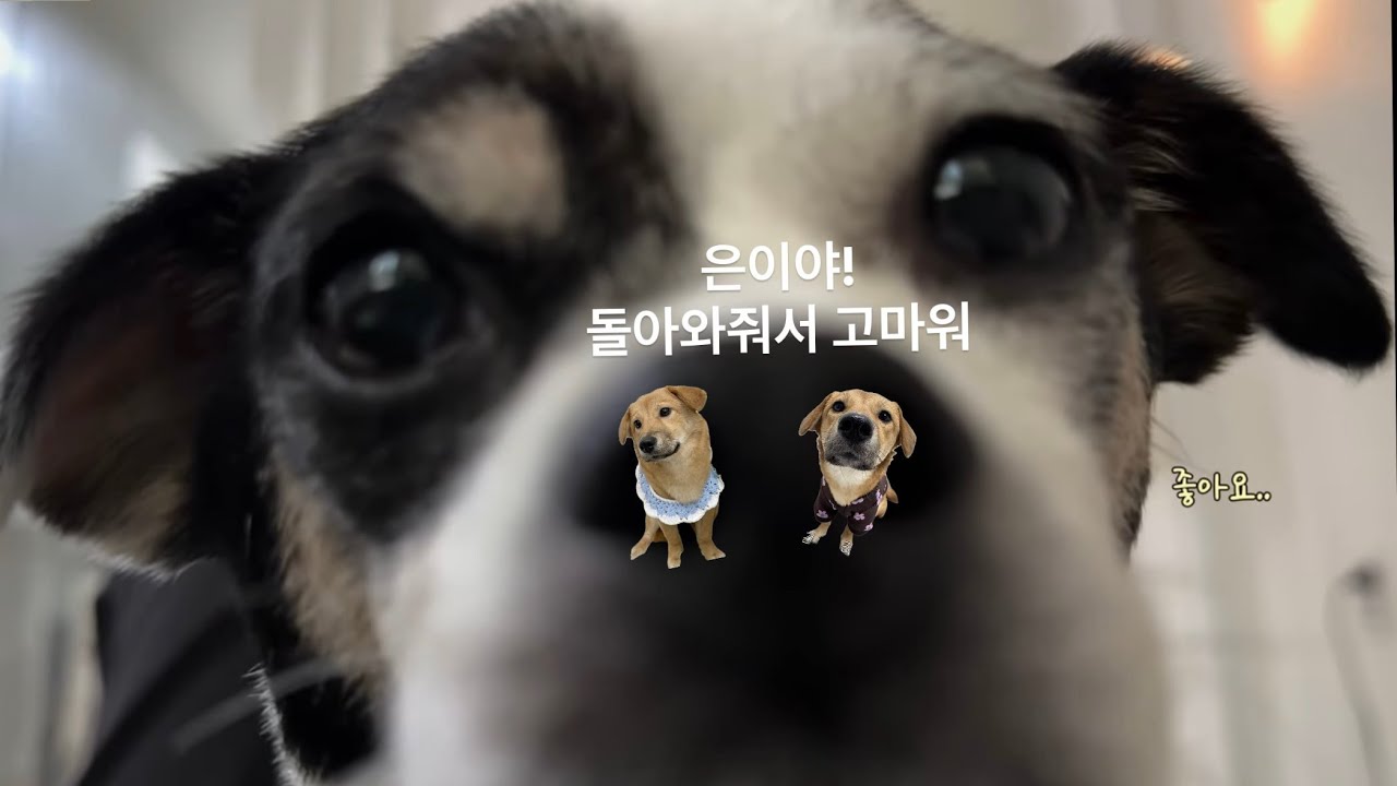 은이야 돌아와줘서 고마워! | 그녀와의 서울숲 데이트
