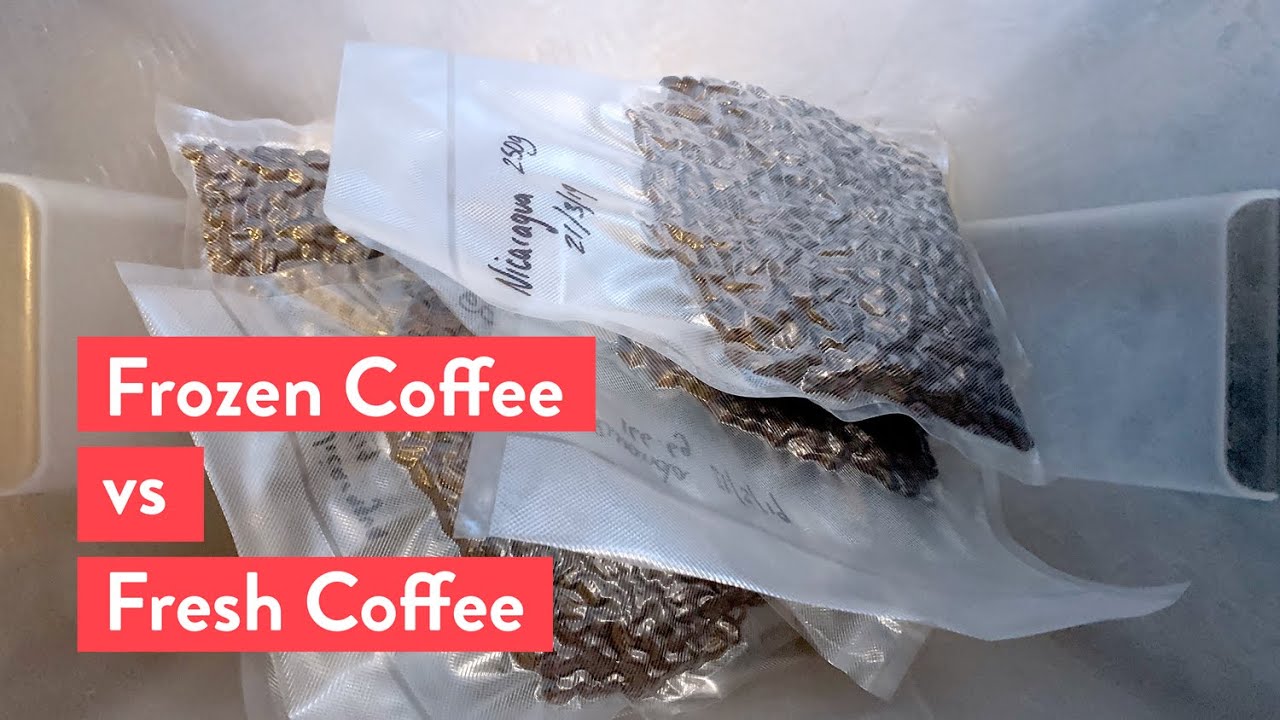 Frozen coffee: should you try it at home?