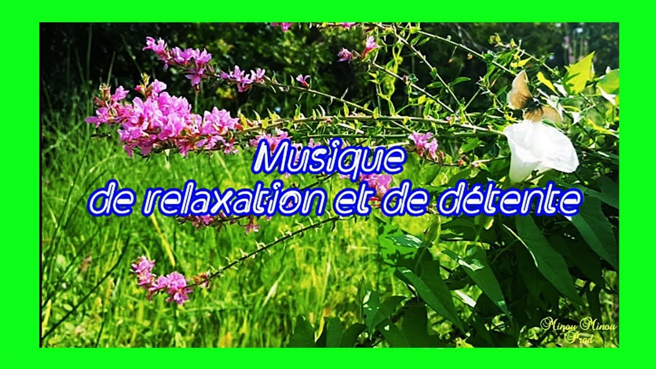 Musique de relaxation et de détente.1 FHD موسيقى للراحة و الاسترخاء FHD