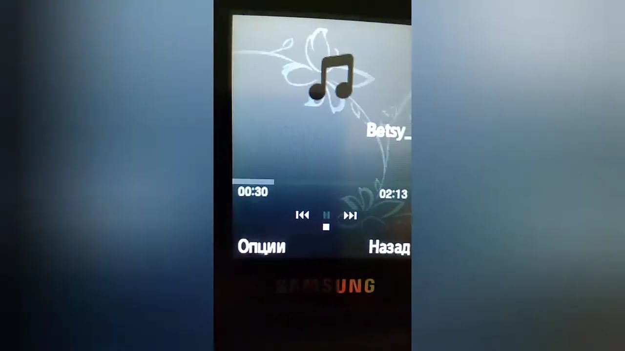 Обзор телефона Samsung S3600i