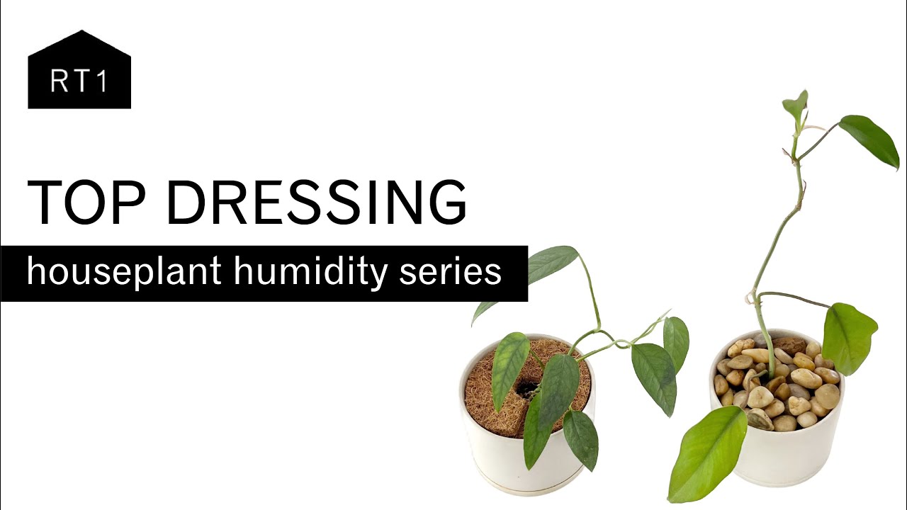 TOP DRESSING: AN ATTRACTIVE METHOD TO INCREASE HUMIDITY