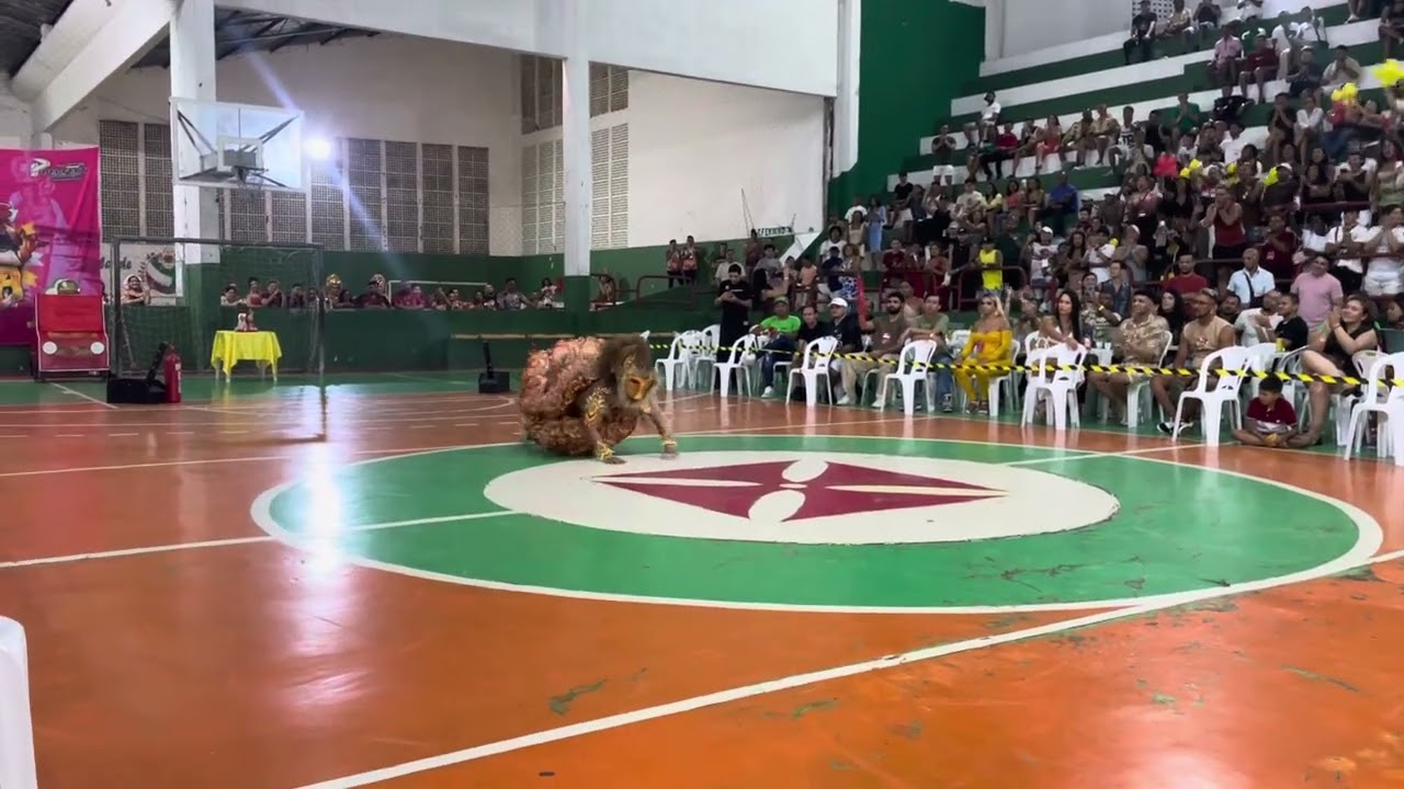 Halexia D’black - La Furiosa 2025 (Campeã) 