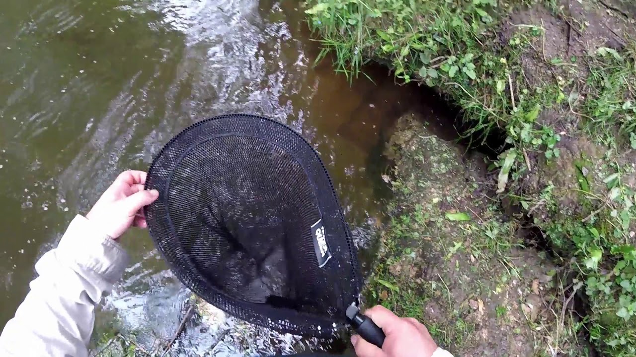 PÊCHE DE LA TRUITE AUX LEURRES EN GIRONDE
