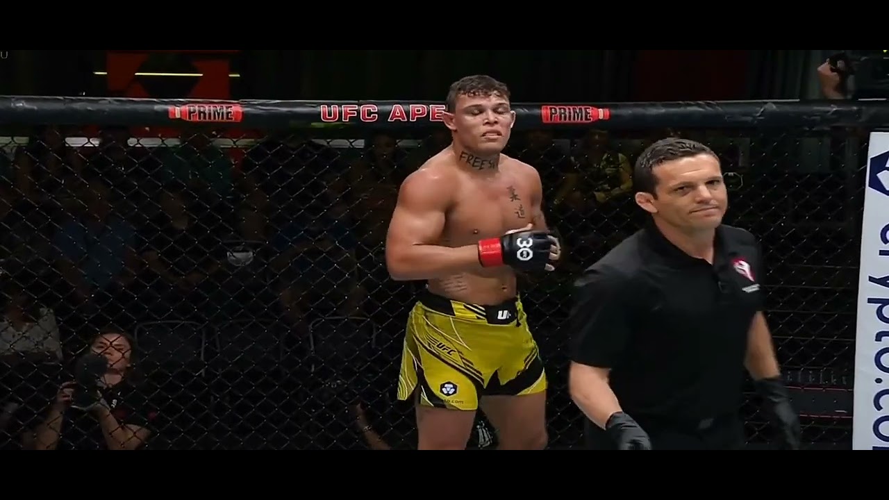 caio borralho vs michal oleksiejczuk luta completa