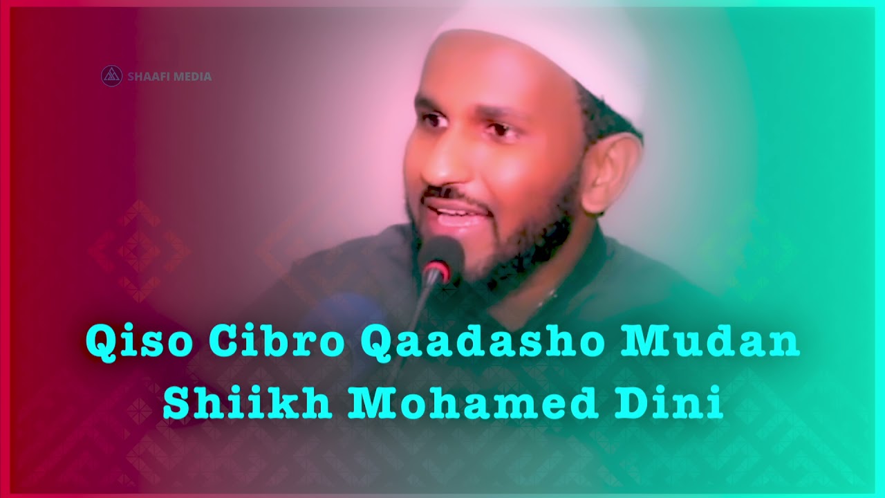 Qiso Ku Cibro Qaadasho Mudan Shikh Maxamed Diini