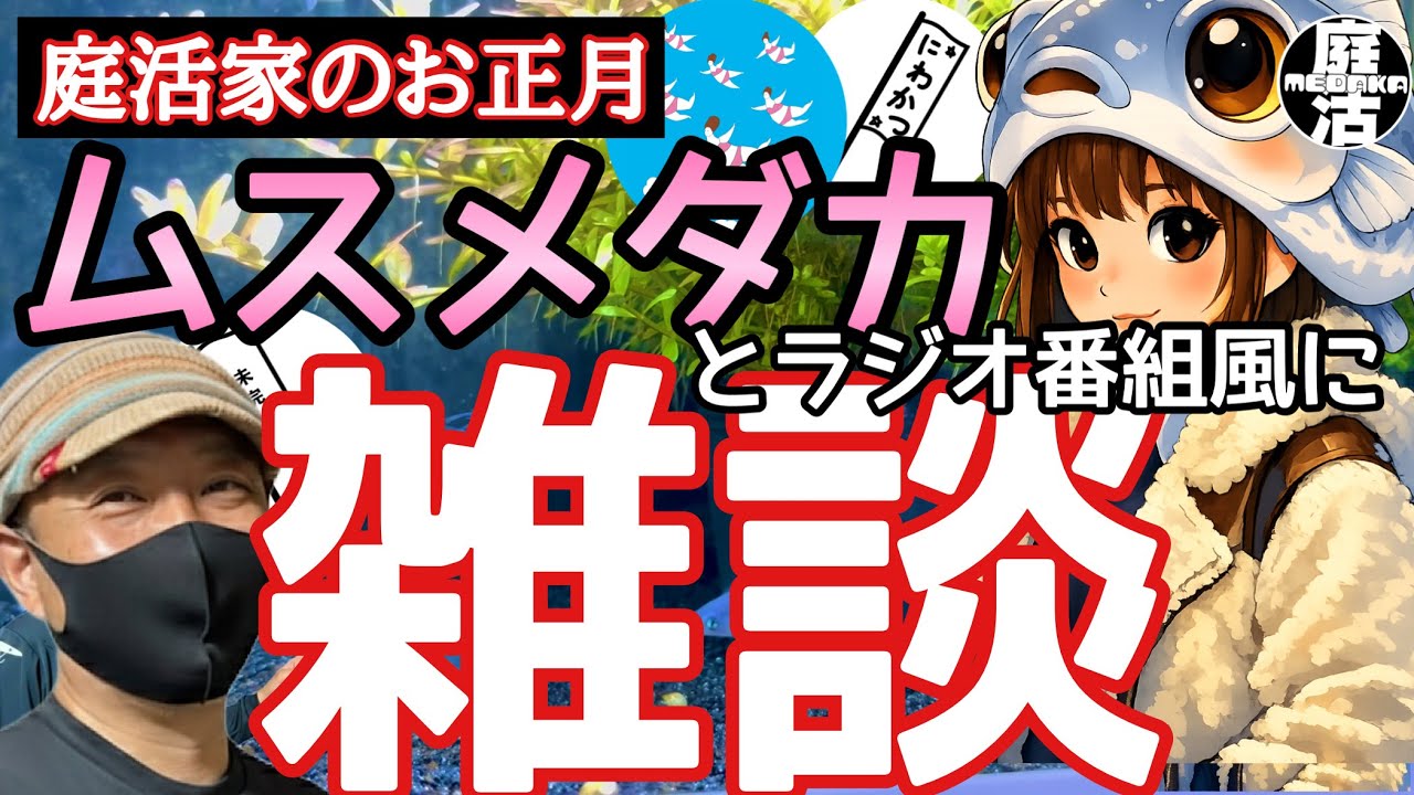 （メダカ）お正月は“ムスメダカ（娘）と雑談”（ラジオ番組風）