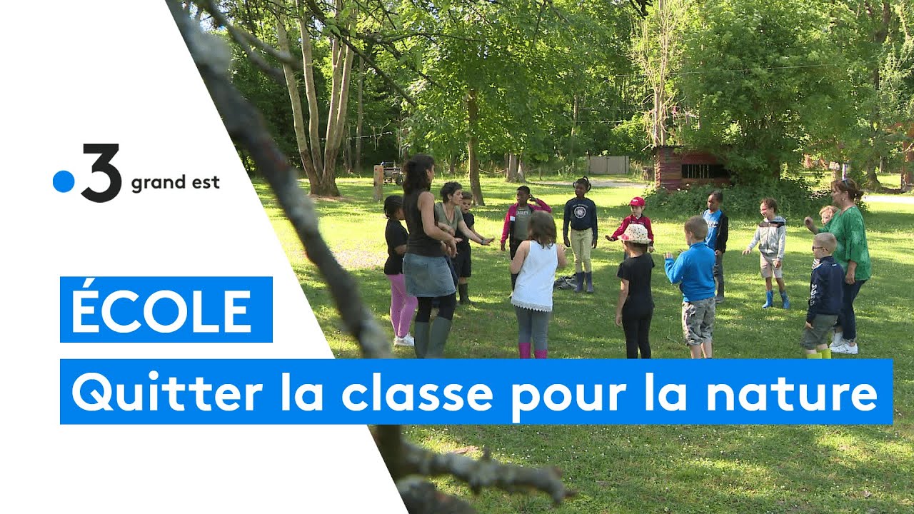 Ecole : la pédagogie par la nature, de nombreux bienfaits pour les enfants